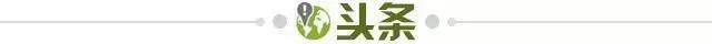 f21ac112-f676-453c-8b06-8f19040a9459.jpg@!img01
